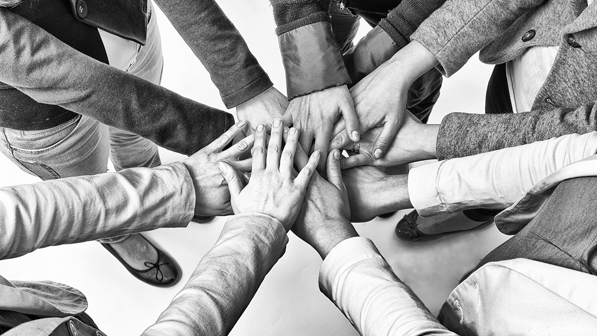 Volunteers sorting donations